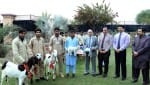UVAS distributes Livestock among flood affected families